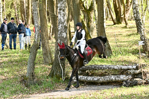  | 25042025 Stil Gelände E _141 