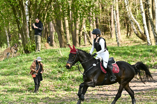  | 25042025 Stil Gelände E _142 