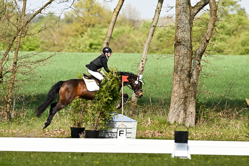  | 25042025 Stil Gelände E _157 