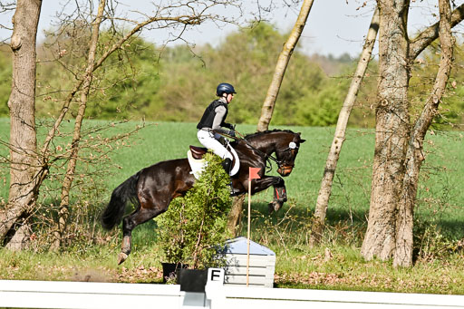  | 25042025 Stil Gelände E _167 
