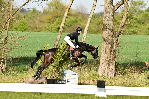 | 25042025 Stil Gelände E _178 