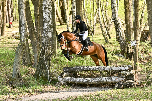 | 25042025 Stil Gelände E _201 