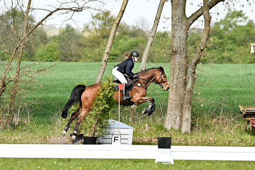  | 25042025 Stil Gelände E _217 