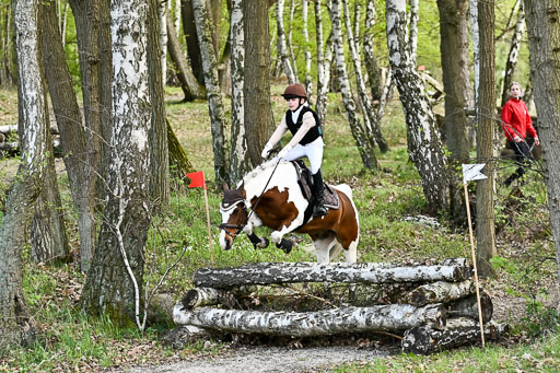  | 25042025 Stil Gelände E _228 