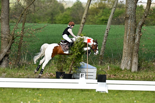  | 25042025 Stil Gelände E _230 