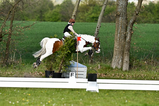  | 25042025 Stil Gelände E _231 