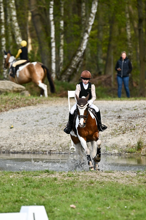  | 25042025 Stil Gelände E _233 