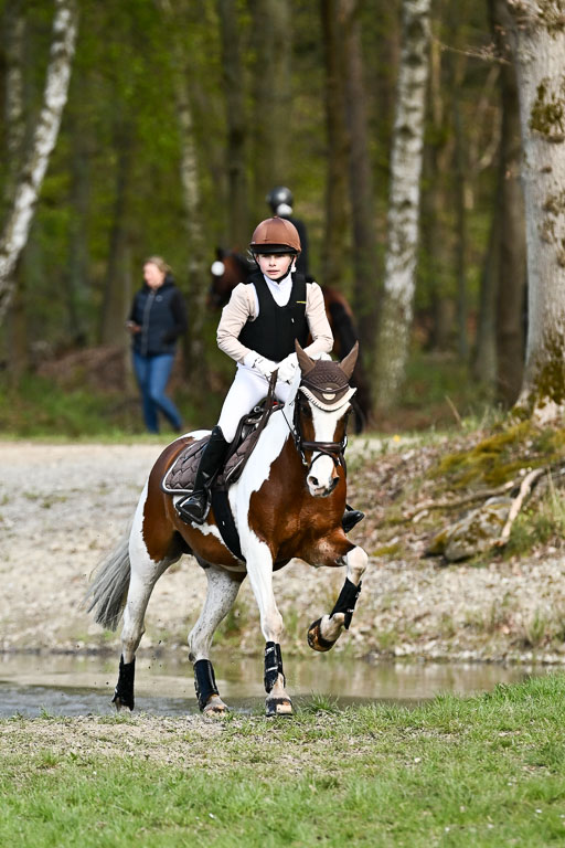  | 25042025 Stil Gelände E _235 