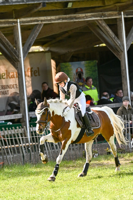  | 25042025 Stil Gelände E _240 