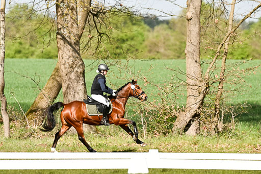  | 25042025 Stil Gelände E _255 