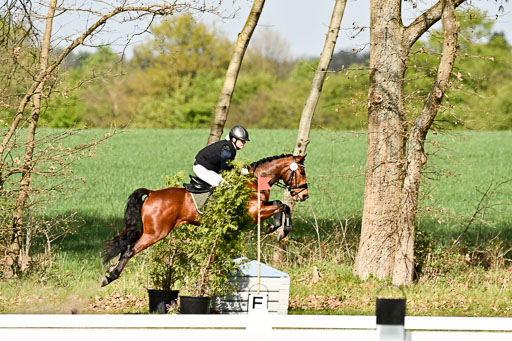  | 25042025 Stil Gelände E _257 