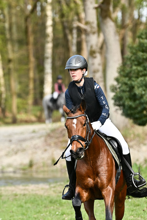  | 25042025 Stil Gelände E _262 