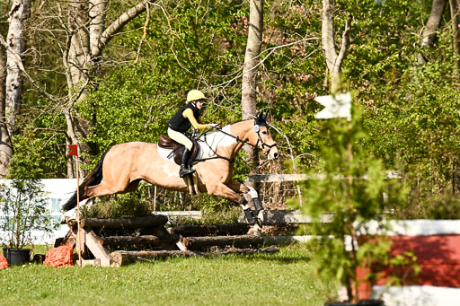  | 25042025 Stil Gelände E _267 