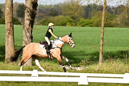  | 25042025 Stil Gelände E _268 
