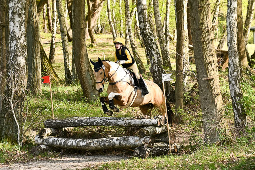  | 25042025 Stil Gelände E _275 