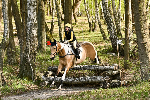  | 25042025 Stil Gelände E _277 
