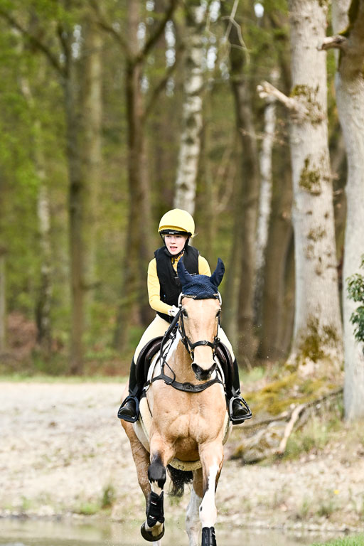  | 25042025 Stil Gelände E _290 