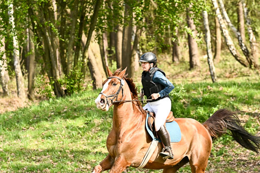  | 25042025 Stil Gelände E _331 