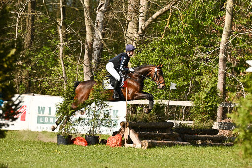  | 25042025 Stil Gelände E _490 