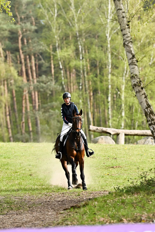  | 25042025 Stil Gelände E _497 