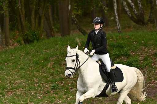  | 25042025 Stil Gelände E _663 