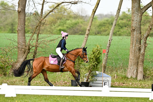  | 25042025 Stil Gelände E _702 