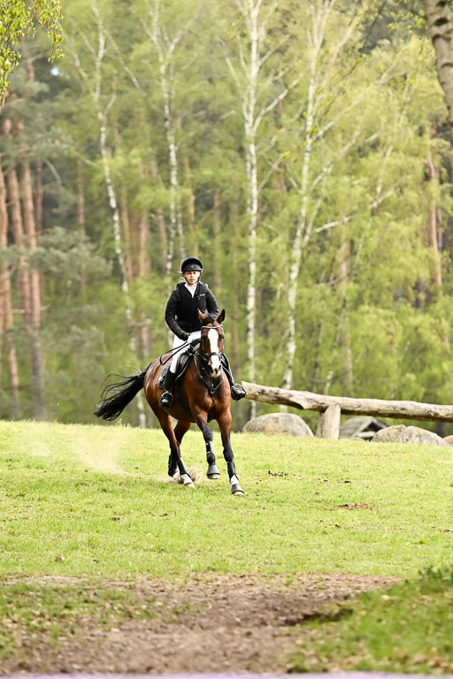  | 25042025 Stil Gelände E _730 