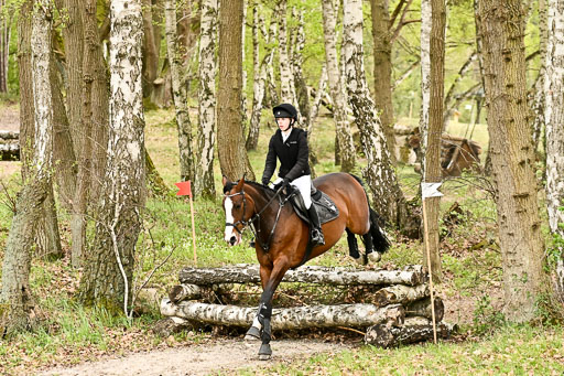  | 25042025 Stil Gelände E _733 