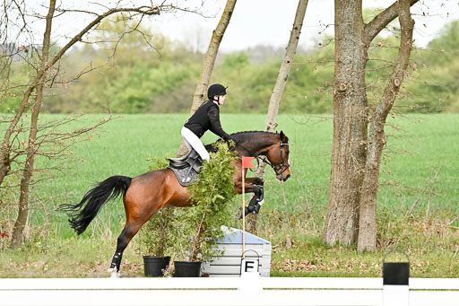 | 25042025 Stil Gelände E _737 