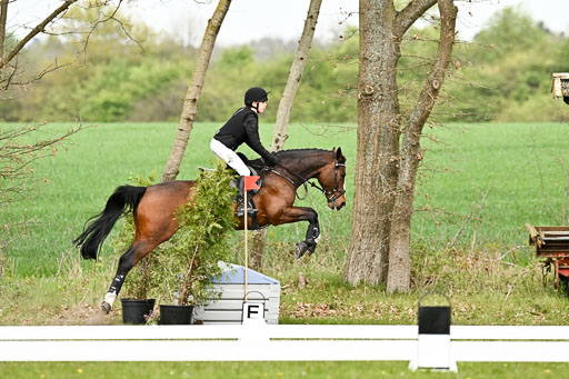  | 25042025 Stil Gelände E _738 