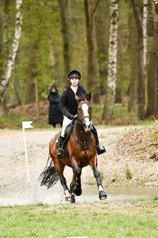  | 25042025 Stil Gelände E _742 