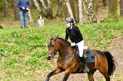  | 25042025 Stil Gelände E _761 