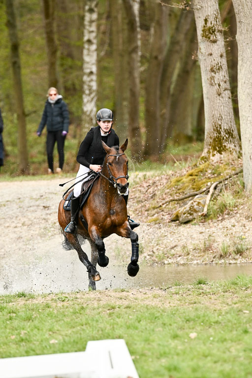  | 25042025 Stil Gelände E _767 