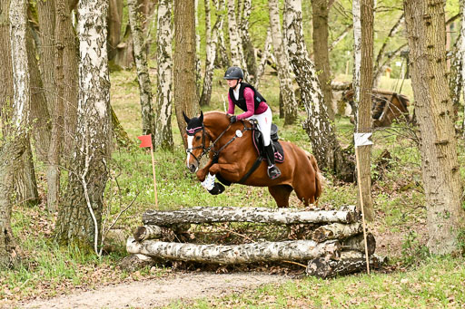  | 25042025 Stil Gelände E _781 