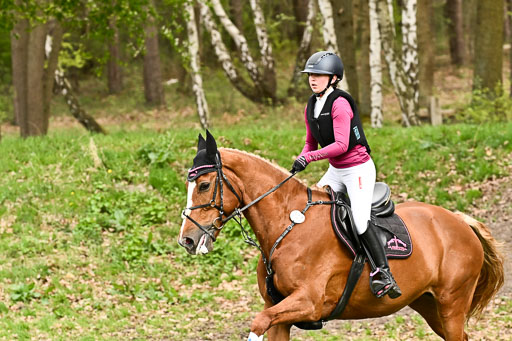  | 25042025 Stil Gelände E _783 