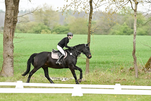  | 25042025 Stil Gelände E _817 
