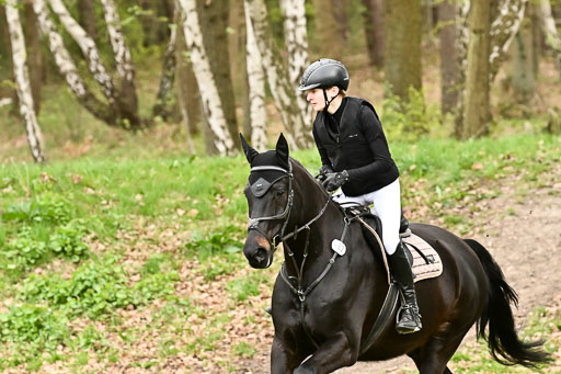 | 25042025 Stil Gelände E _826 