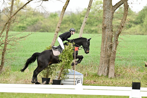  | 25042025 Stil Gelände E _827 