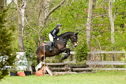  | 25042025 Stil Gelände E _852 