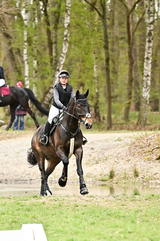  | 25042025 Stil Gelände E _867 