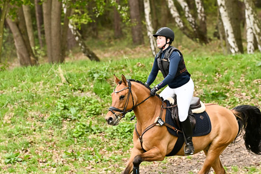  | 25042025 Stil Gelände E _880 
