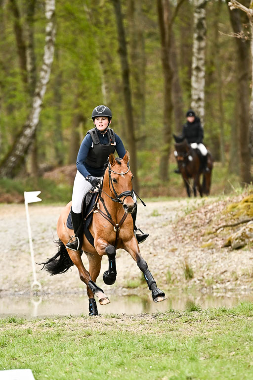  | 25042025 Stil Gelände E _884 