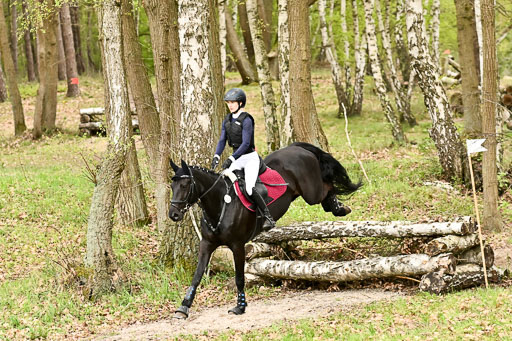  | 25042025 Stil Gelände E _900 