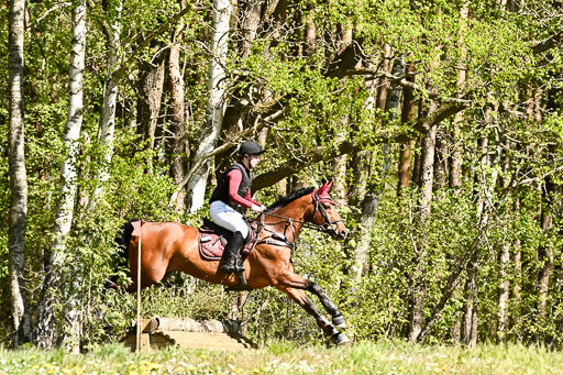  | 26042026 StilGelände A_053 