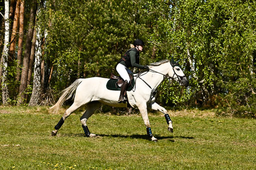  | 26042026 StilGelände A_173 