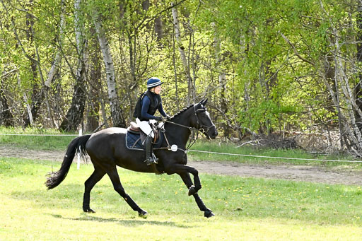  | 26042026 StilGelände A_270 