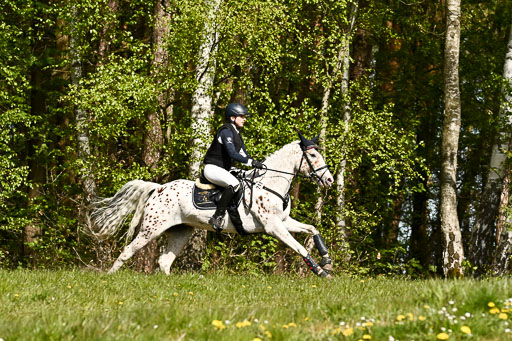  | 26042026 StilGelände A_314 