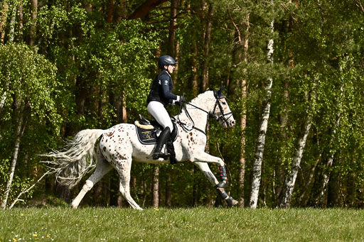  | 26042026 StilGelände A_319 