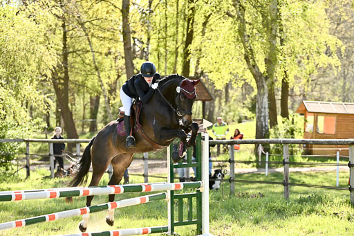  | 26042026 Stilspringen A_011 