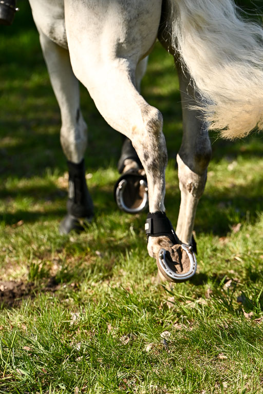  | 26042026 Stilspringen A_055 